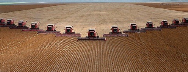 América del Sur representará 30% de la producción mundial agrícola en 2050