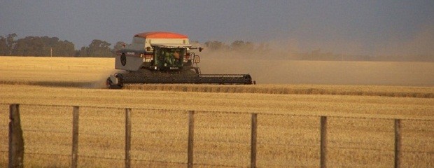 ¿Argentina garante de la seguridad alimentaria? 