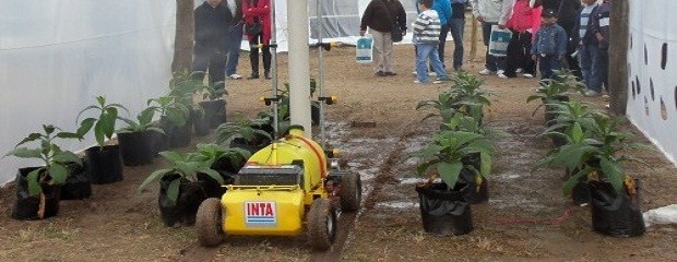 Inteligencia artificial para invernaderos 