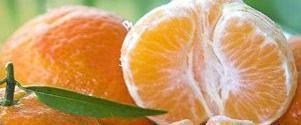 Alertan sobre graves pérdidas para el sector citrícola