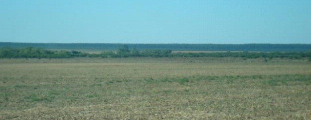 El campo para y se moviliza