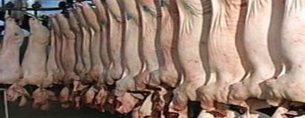 Argentina autorizó el tránsito de carne porcina paraguaya