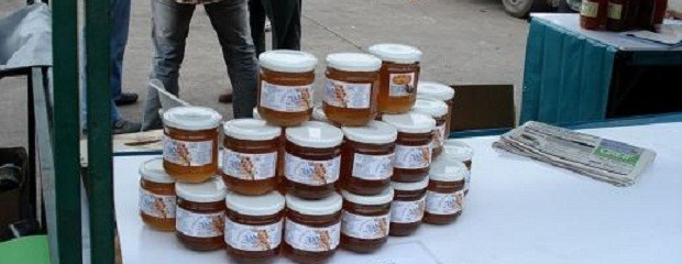 Gran avance en el proceso de venta directa de miel 