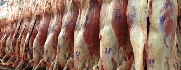Las exportaciones de carne vacuna cayeron un 23%