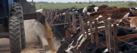 Yauhar recibió a productores feedloteros