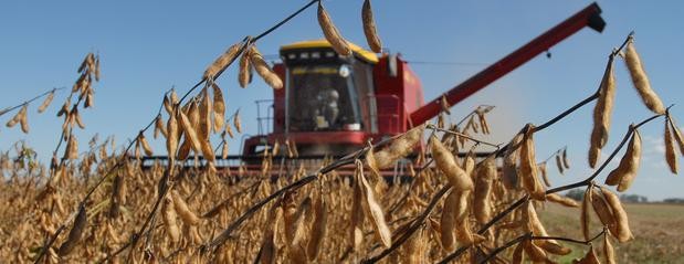 La soja le deja al Fisco nueve veces más que al productor