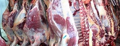 Fuerte competencia por ganar mercado árabe de carne bovina