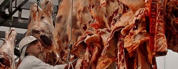Un perfil de faena indeseable