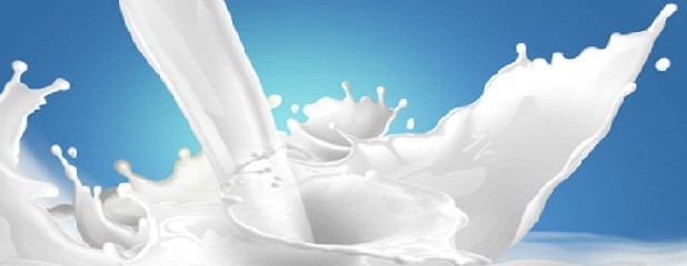La Serenísima vendió a Danone división de leches para niños