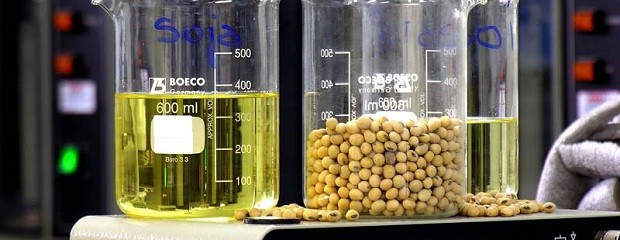 El negocio del biodiesel sigue siendo rentable