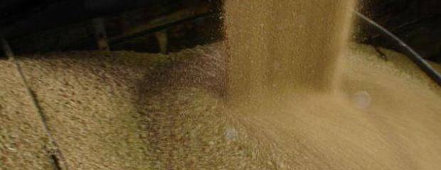 Proteinas para todo el mundo