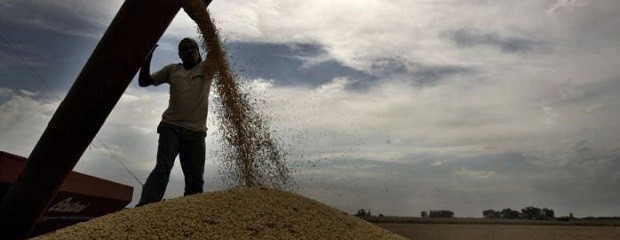 La semana pasada ingresaron 244 M/u$s de la agroexportación