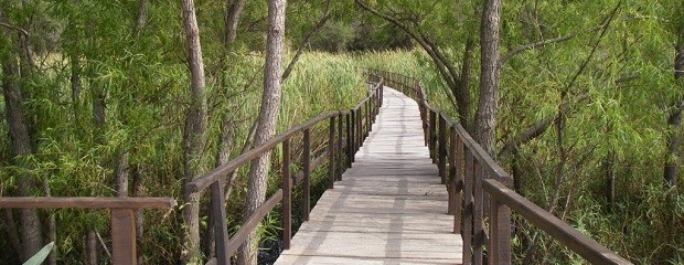 Diamante, avanzan sobre al conformación del Sitio Ramsar