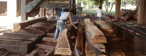 Detectan irregularidades laborales en industrias madereras 