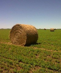 Cómo lograr un rollo más práctico y eficiente