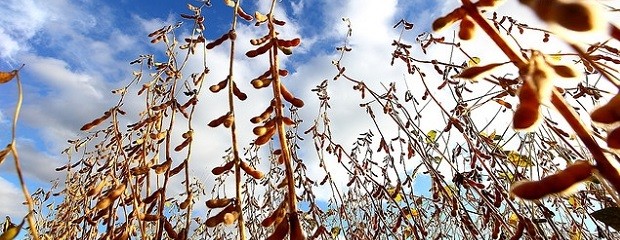 Pronostican una semana sin lluvias y con bajas temperaturas