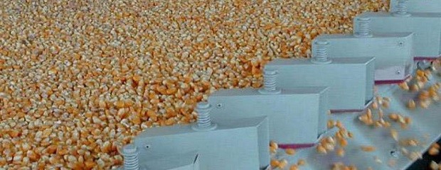 La semana pasada las cerealeras liquidaron 760 M/u$s