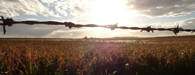 El impacto del cambio climático en el agro