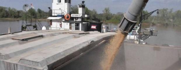 Derrumbe en la exportación de productos intervenidos