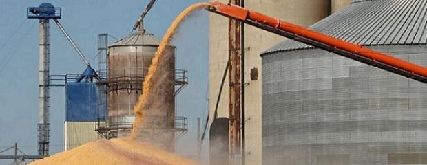 Las cerealeras liquidaron 509 M/u$s la semana pasada