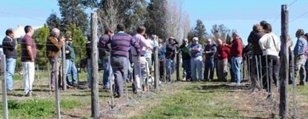 Victoria: Exitosa jornada de poda de vid