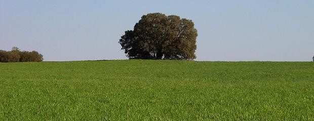 Cielos despejados en gran parte del país