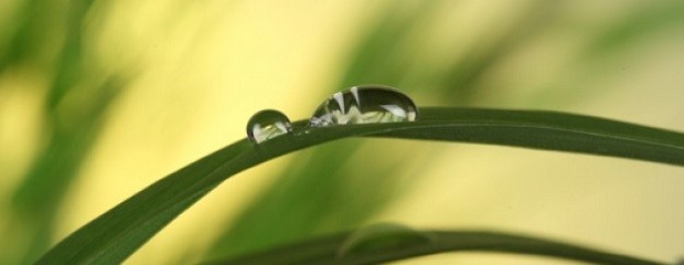 Investigan cómo variará el clima a largo plazo en Continente