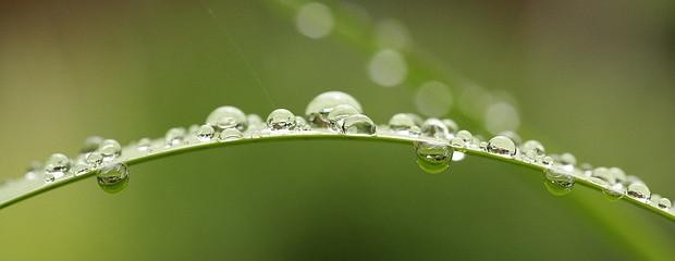 Pronostican contraste de altas temperaturas con lluvias 