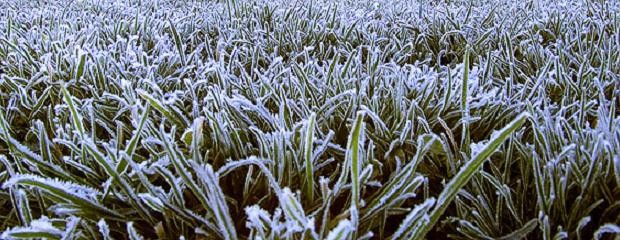 En otoño habrá heladas tempranas y disminución de lluvias 