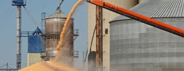 Cae 31% el ingreso de divisas por parte de cerealeras