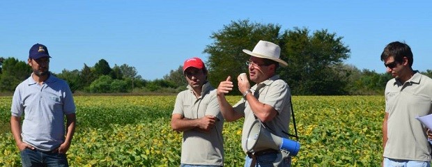 Complicaciones económicas que atentan contra la sustentabili