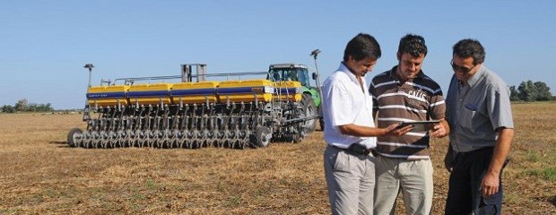 Aseguran que productores no tienen a quien venderle el trigo