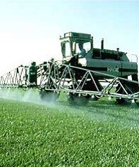 Herbicidas residuales: factores que influyen su performance 