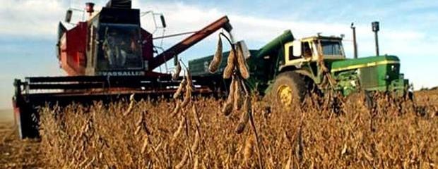 El USDA prevé una mayor existencia de soja para 2016