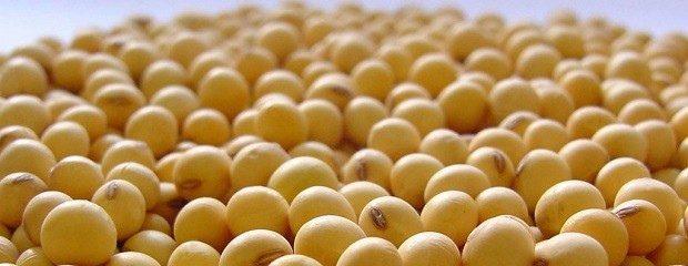 Argentina cerca de ser tercer procesador mundial de semillas