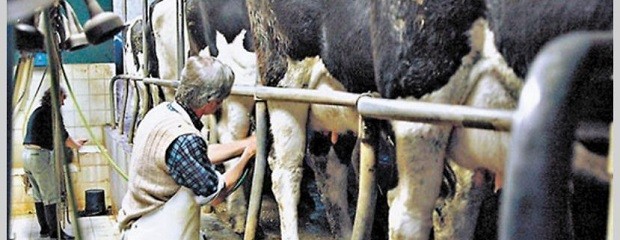 La industria láctea pide a gritos una Mesa de Diálogo