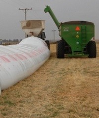 ¿Cómo preservar la integridad del silo bolsa?