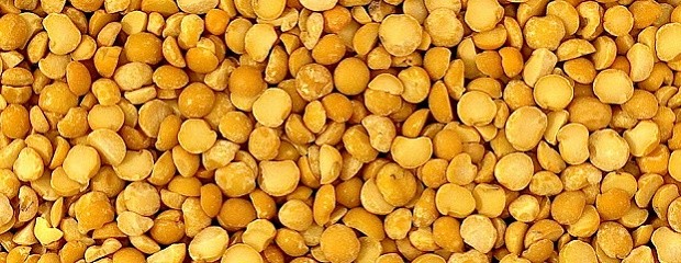 Argentina se consolida como exportador de arveja amarilla