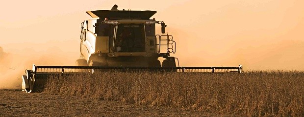 El empleo crece en distritos ligados al agro