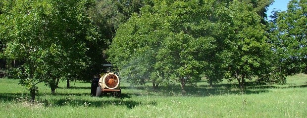 Primeros resultados de residuos de pesticidas en nuez pecán