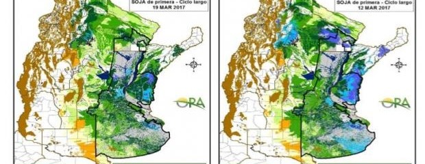 Se mantienen las reservas óptimas para soja