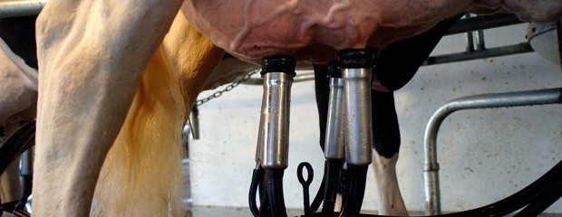 COTAPA seguirá cerrada y en espera