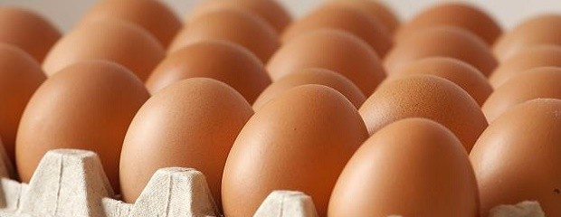 El consumo y la producción de huevos crecieron en 2016
