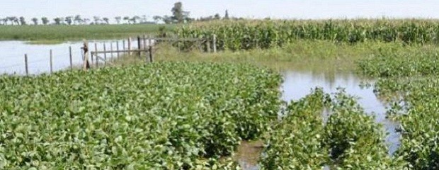 Están en riesgo unos u$s 5000 millones