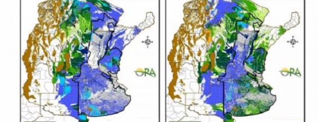 Excesos hídricos predominan en el área sojera