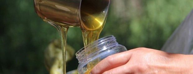 Se registraron 190 salas de extracción de miel en Entre Ríos