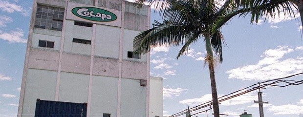 Cotapa salió de la parálisis productiva de un mes
