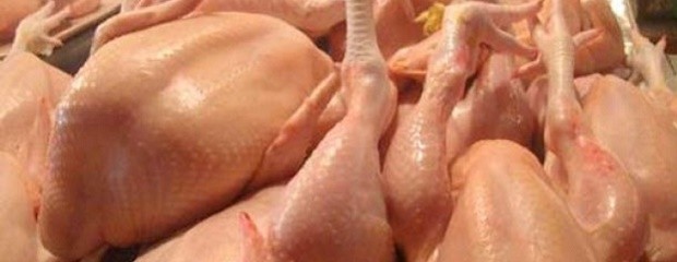 Advierten por la caída en las exportaciones de pollo