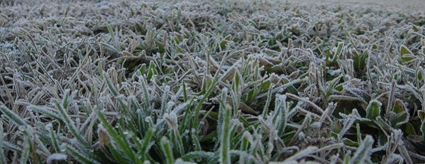 Pronostican un invierno variable y húmedo