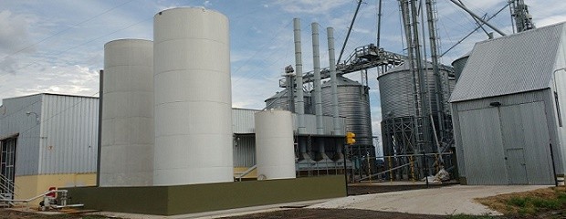 Crean una mesa de trabajo para Pymes extrusoras de soja